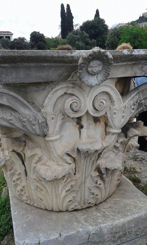 12957395_1187333901276787_503930695_n