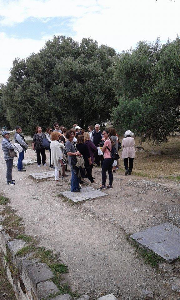 12988035_1187333851276792_1590114589_n