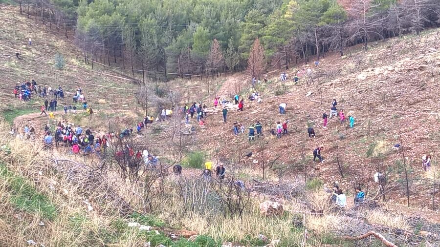 optimized-wp_20161127_10_46_42_pro