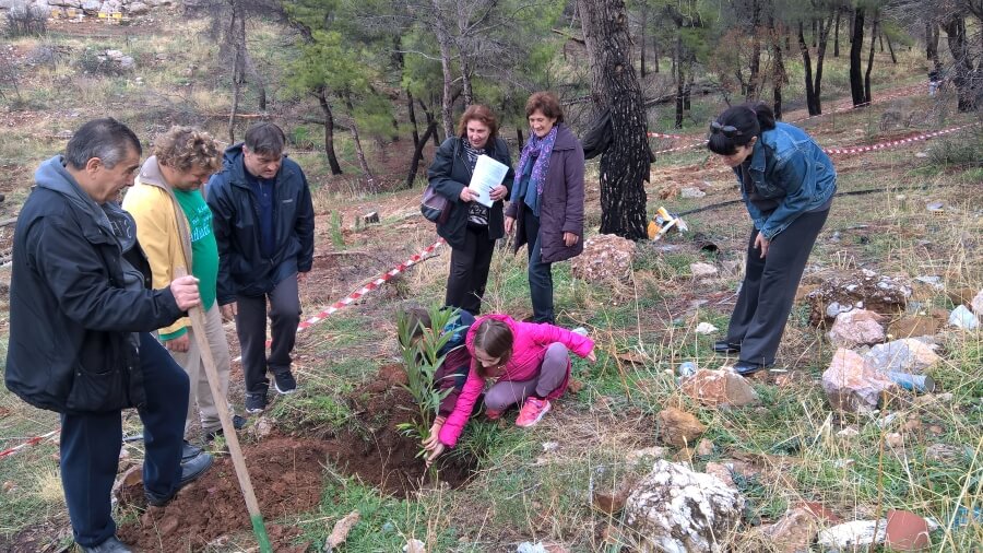 optimized-wp_20161127_11_35_42_pro